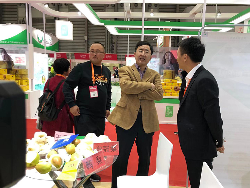 辛集市市委常委統戰部部長張向，農業農村局副局長呂潤航等領導帶團參加了在上海舉辦的亞洲果蔬博覽會